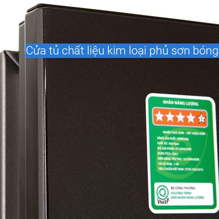 Tủ lạnh Samsung Inverter 236 lít RT22M4032BY/SV