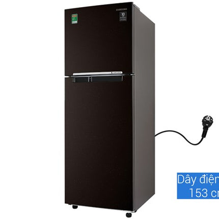 Tủ lạnh Samsung Inverter 236 lít RT22M4032BY/SV