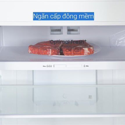 Tủ lạnh Samsung Inverter 305 lít RT31CG5424B1SV