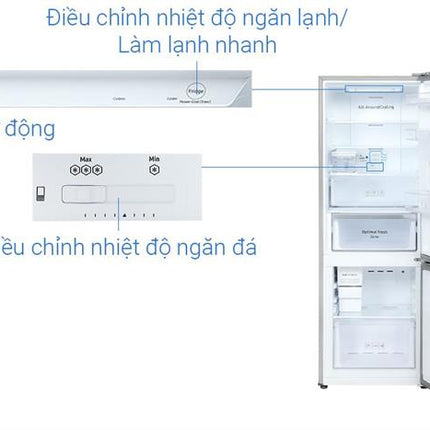 Tủ lạnh Samsung Inverter 307 lít RB30N4190S9/SV