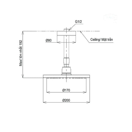 Bát sen gắn trần TBW07001A1 | Thiết Bị Vệ Sinh TOTO