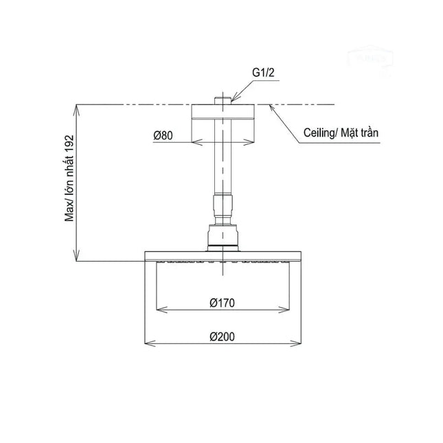 Bát sen gắn trần TBW07001A1 | Thiết Bị Vệ Sinh TOTO