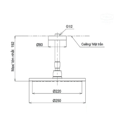 Bát sen gắn trần TBW07002A1 | Thiết Bị Vệ Sinh TOTO
