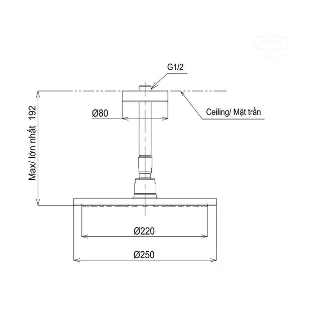 Bát sen gắn trần TBW07002A1 | Thiết Bị Vệ Sinh TOTO