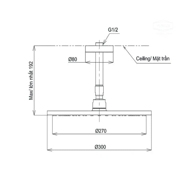 Bát sen gắn trần TBW07003A1 | Thiết Bị Vệ Sinh TOTO