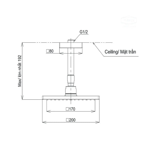 Bát sen gắn trần TBW08001A1 | Thiết Bị Vệ Sinh TOTO