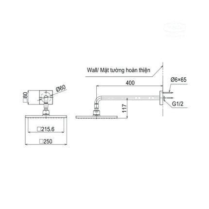 Bát sen gắn trần TBW08002A | Thiết Bị Vệ Sinh TOTO