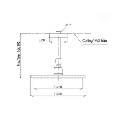 Bát sen gắn trần TBW08002A1 | Thiết Bị Vệ Sinh TOTO