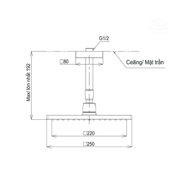Bát sen gắn trần TBW08002A1 | Thiết Bị Vệ Sinh TOTO